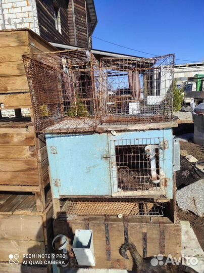 Клетка для кролика