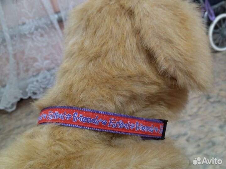 Интерактивная собака