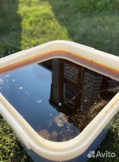 Мед оптом с Алтая / Экспорт в Китай и снг