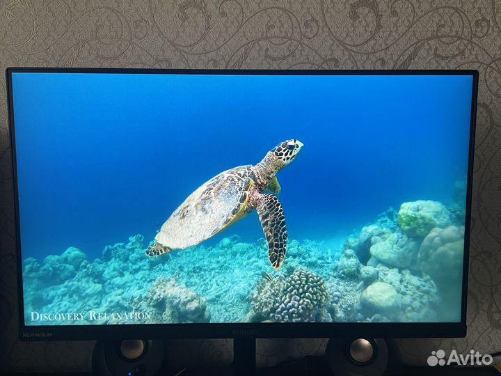 Игровой Монитор Philips Momentum FullHD 165 Гц