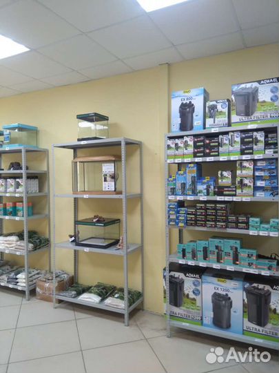 Аквариумные рыбки, аквариумы и оборудование