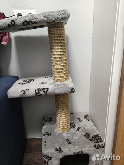 Когтеточка