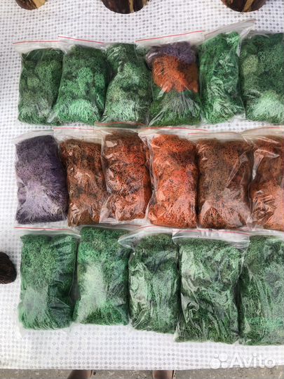 Стабилизированный мох для прдедок