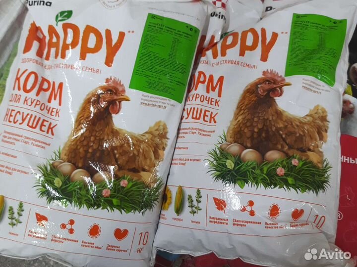 Комбикорм для кур несушек Пурина фазовый