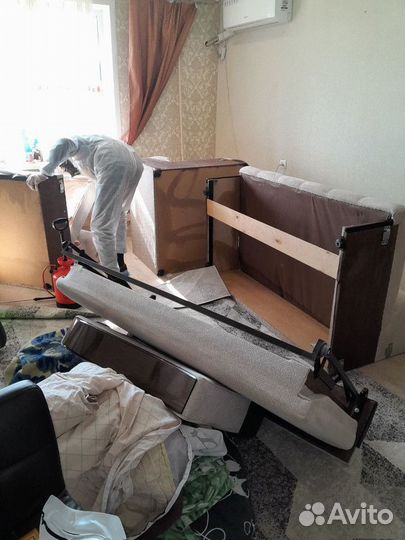 Уничтожение клопов, тараканов. Дезинфекция