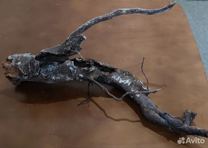 Коряги Дрифтвуд для аквариума и террариума