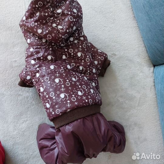 Зимний комбинезон для мелкой собаки