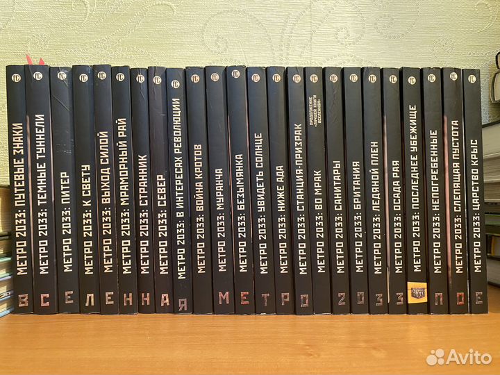 Книга Метро 2033