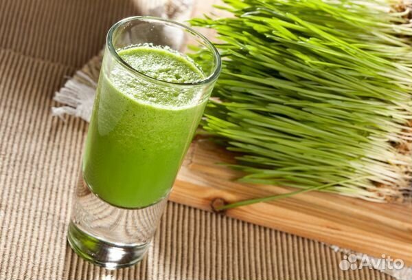 Витграсс (Сок из ростков пшеницы)