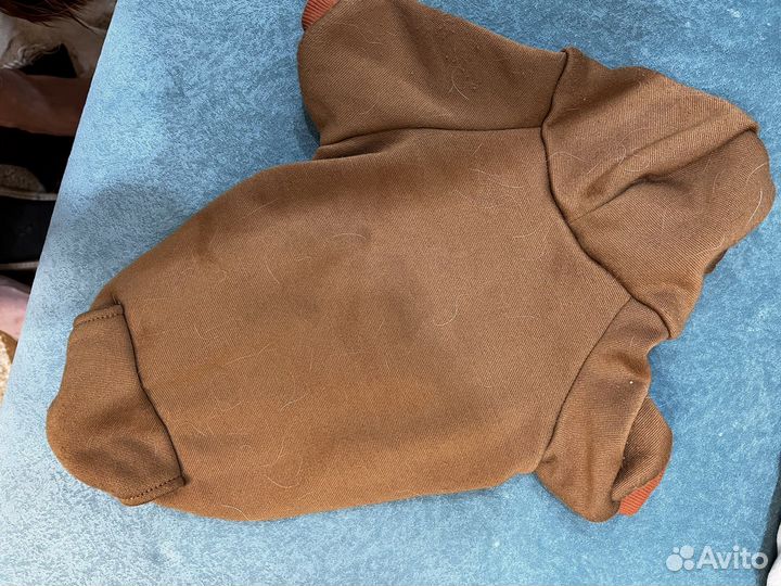 Одежда для собак