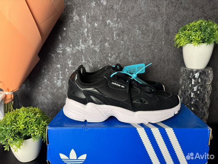 Adidas falcon