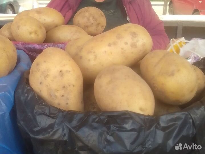 Продукты питания