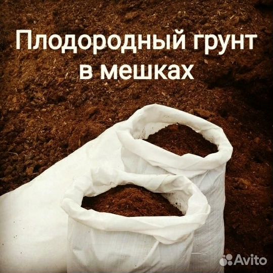 Плодородный грунт (соответствие всем стандартам)