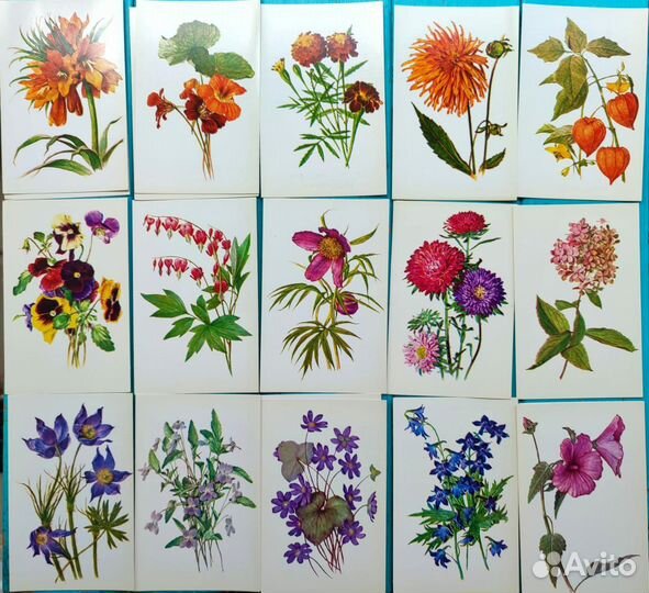 Открытки ботанические цветы, растения
