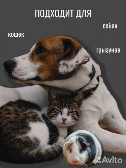 Древесный наполнитель для кошек