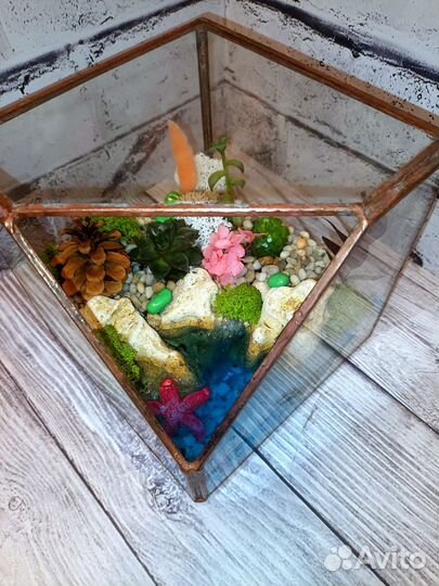 Флорариум, подарок, цветы