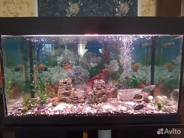 Аквариум с тумбой