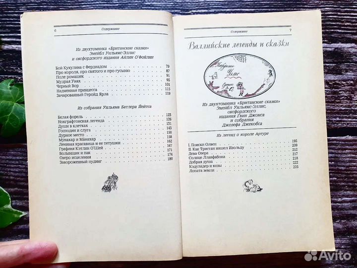 Сквозь волшебное кольцо. Британские сказки