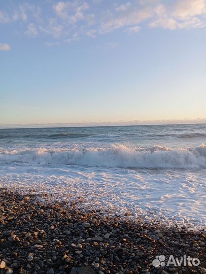 Работа на море, г. Сочи, с проживанием