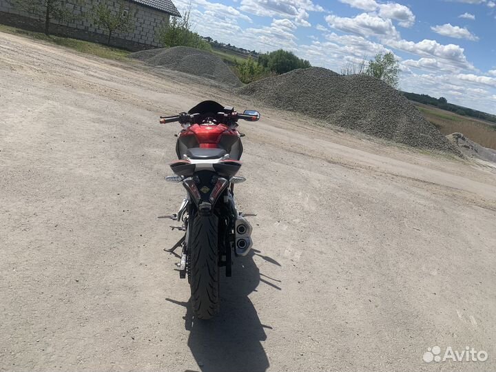 Racer storm 250