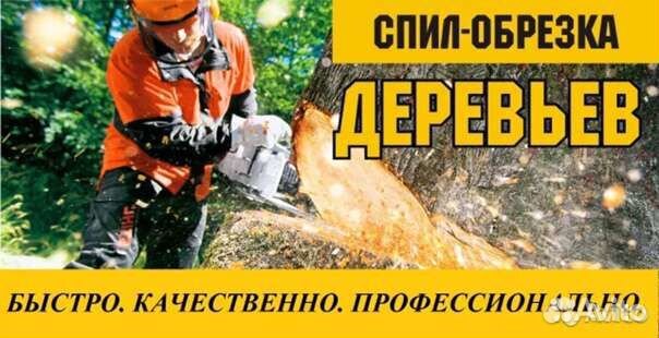 Спил деревьев