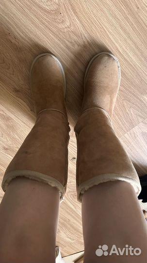 Угги натуральные оригинальеые UGG