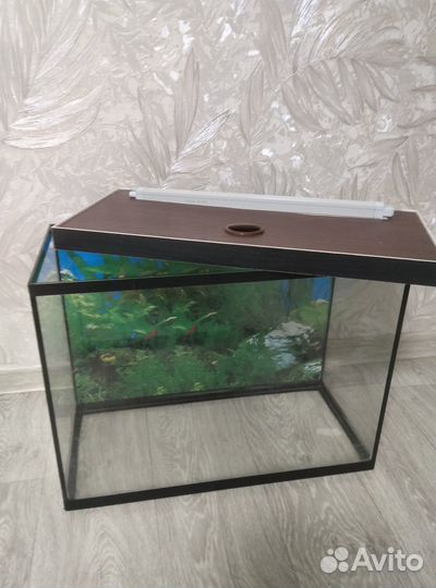 Аквариум