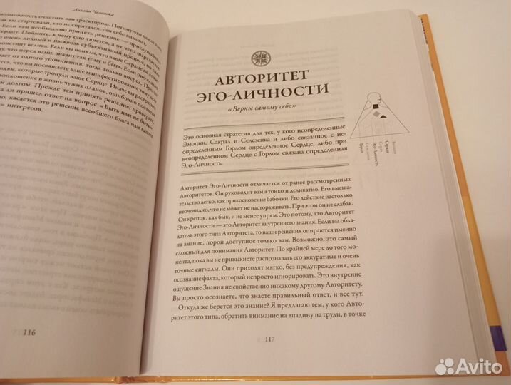 Книга Дизайн человека