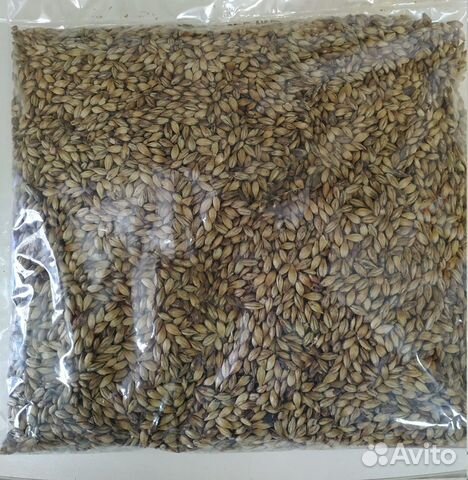 Солод пивоваренный в ассортименте