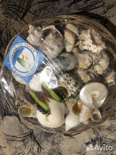 Набор ракушек
