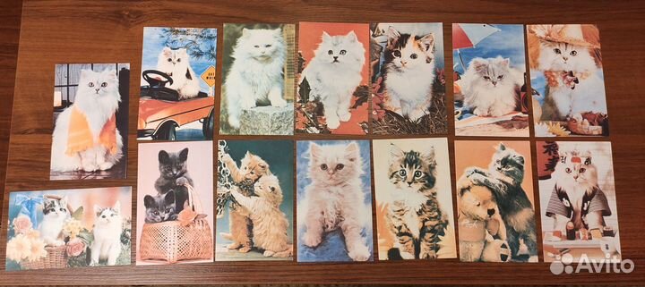 Открытки с кошками