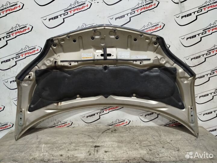 Капот honda elysion RR1 RR2 RR3 RR4 60100SJK000ZZ 1 модель бежевый, YR538MM QA5075