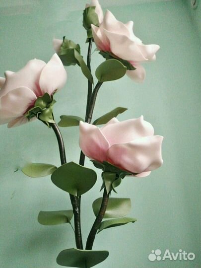 Ве тка магнолии