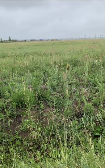 Участок 7 сот. (ИЖС)