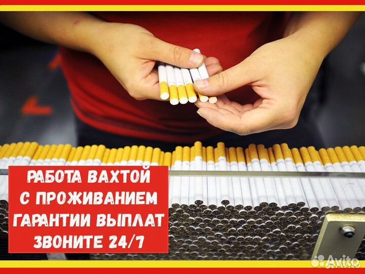 Вахта Упаковщик шоколада Еженедельный аванс М/Ж