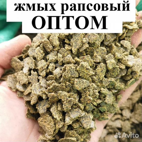 Реализуем жмых рапсовый протеин 37+ оптом