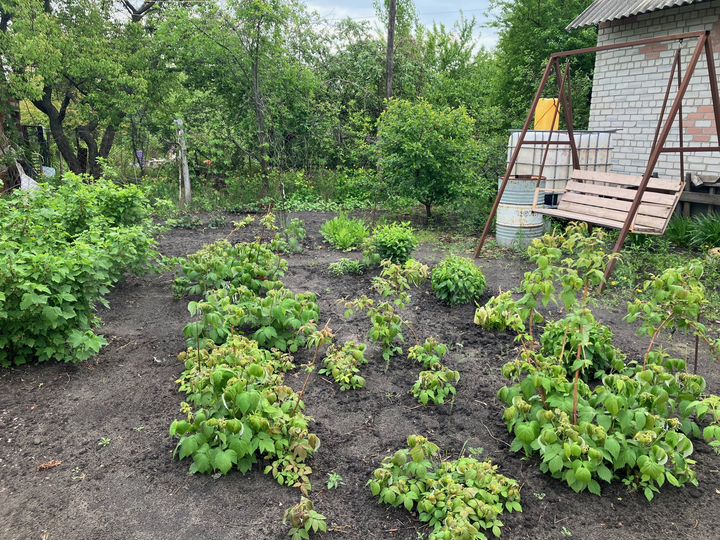 Дача 52 м² на участке 6 сот.