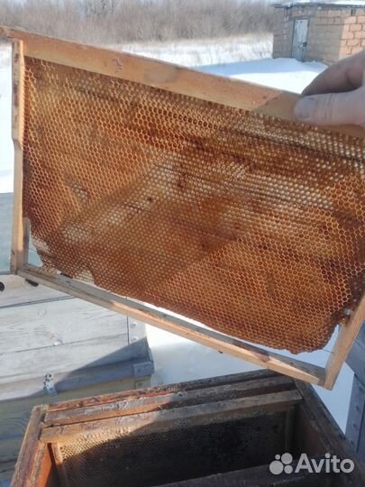 Рамки с сушью