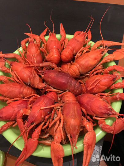Доставка живых и варенных раков круглосуточно