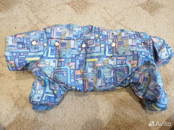 Костюм для маленьких собак