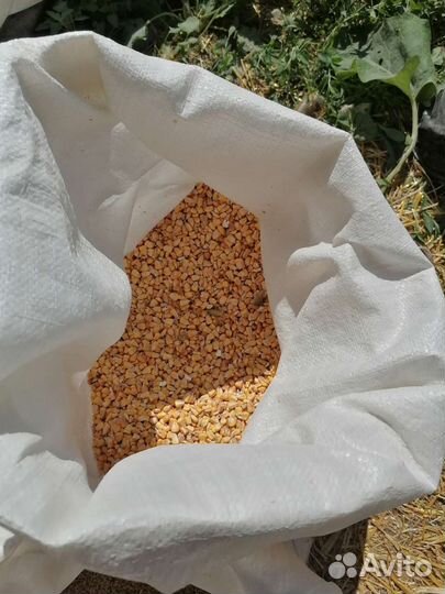 Дробленка,ячмень,пшеница,овес,кукуруза