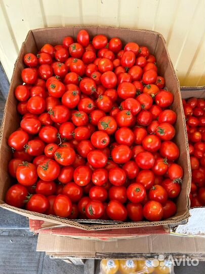 Помидоры