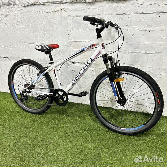 Десна метеор 24