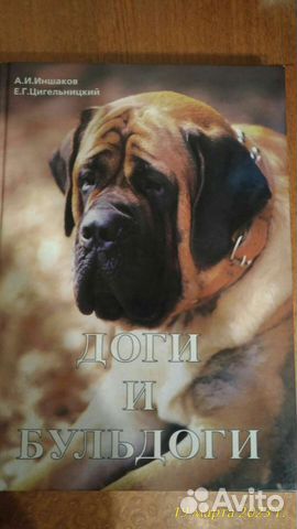Доги и Бульдоги