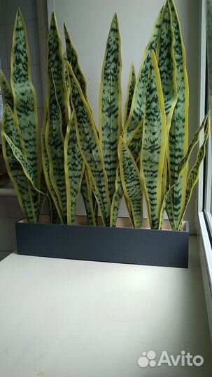 Искусственные цветы для декора