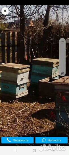 Улей с пчелами
