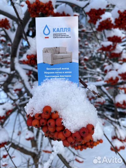 Химчистка мягкой мебели, ковров, матрасов