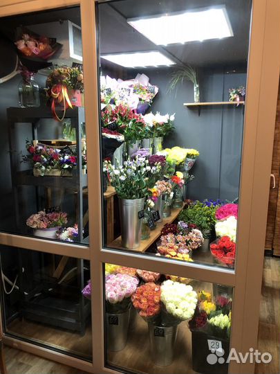 Тюльпан Розы, хризантема кустовая, ирисы, гербера