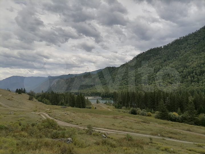 Участок 1,33 га (СНТ, ДНП)