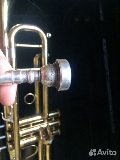 Труба blessing ml 1